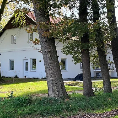 Sanierte Ruhige In Der Mit Kueche Apartment